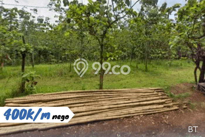Lahan Strategis di Manyaran Dijual dengan Luas 2011m2 Lahan Strategis di Manyaran Dijual dengan Luas 2011m2