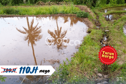 Kavling Tanah di Cisaat Dijual Luas 411m2 Legalitas SHM Kavling Tanah di Cisaat Dijual Luas 411m2 Legalitas SHM