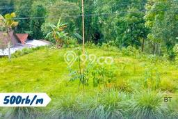 Lahan Strategis di Karangpandan Dijual dengan Luas 1175m2 Lahan Strategis di Karangpandan Dijual dengan Luas 1175m2