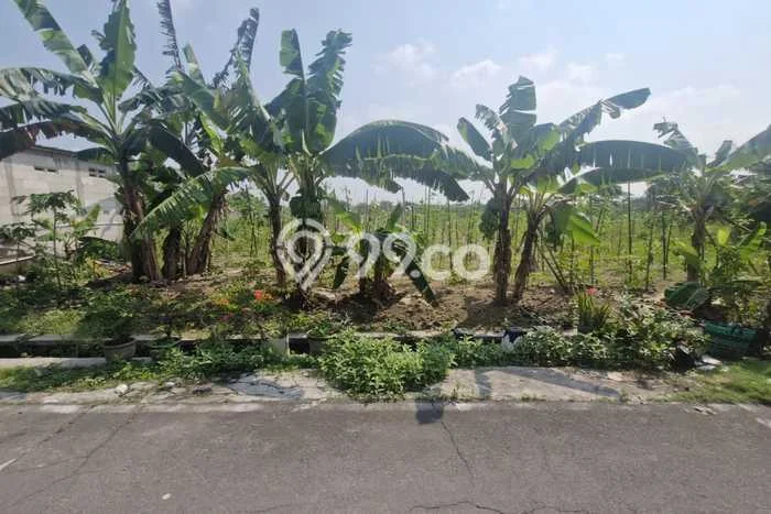 Tanah Dijual Lokasi Colomadu, Karanganyar dengan Luas Tanah 1204m2 dan Status SHM Tanah Dijual Lokasi Colomadu, Karanganyar dengan Luas Tanah 1204m2 dan Status SHM