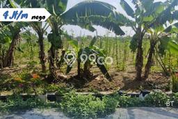 Tanah Dijual Lokasi Colomadu, Karanganyar dengan Luas Tanah 1204m2 dan Status SHM Tanah Dijual Lokasi Colomadu, Karanganyar dengan Luas Tanah 1204m2 dan Status SHM