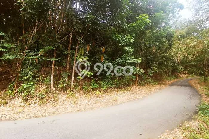 Tanah di Ngargoyoso, Karanganyar Luas 1500m2 Dijual Segera Tanah di Ngargoyoso, Karanganyar Luas 1500m2 Dijual Segera