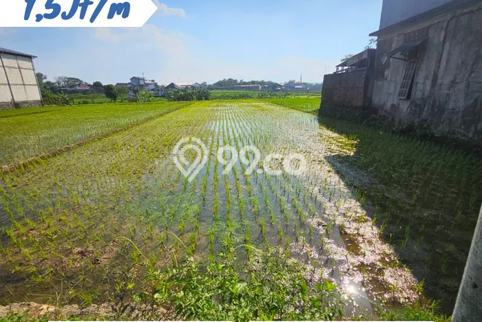 Tanah di Jaten, Karanganyar Luas 1150m2 Dijual Segera Tanah di Jaten, Karanganyar Luas 1150m2 Dijual Segera