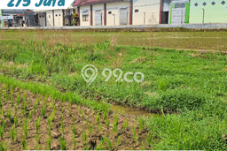 Jarang Ada! Tanah di Karanganyar Punya Luas 150m2 SHM Jarang Ada! Tanah di Karanganyar Punya Luas 150m2 SHM