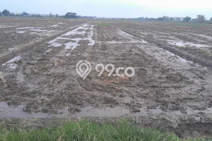 Dijual Tanah di Masaran Sragen Luas 900m2 SHM Dijual Tanah di Masaran Sragen Luas 900m2 SHM