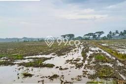 Kavling Tanah di Masaran Dijual Luas 1150m2 Legalitas SHM Kavling Tanah di Masaran Dijual Luas 1150m2 Legalitas SHM