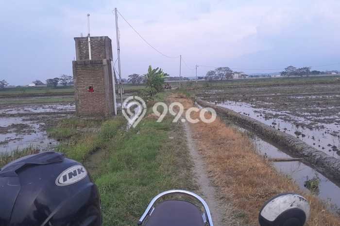 Kavling Tanah di Masaran Dijual Luas 1150m2 Legalitas SHM Kavling Tanah di Masaran Dijual Luas 1150m2 Legalitas SHM