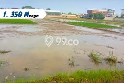 Tanah di Kebakkramat, Karanganyar Luas 3580m2 Dijual Segera Tanah di Kebakkramat, Karanganyar Luas 3580m2 Dijual Segera