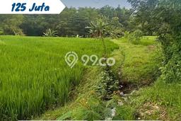 Kavling Tanah di Kebakkramat Dijual Luas 1361m2 Legalitas SHM Kavling Tanah di Kebakkramat Dijual Luas 1361m2 Legalitas SHM