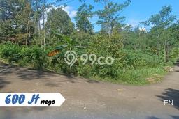 Dijual Tanah di Karangpandan Karanganyar Luas 1900m2 SHM Dijual Tanah di Karangpandan Karanganyar Luas 1900m2 SHM