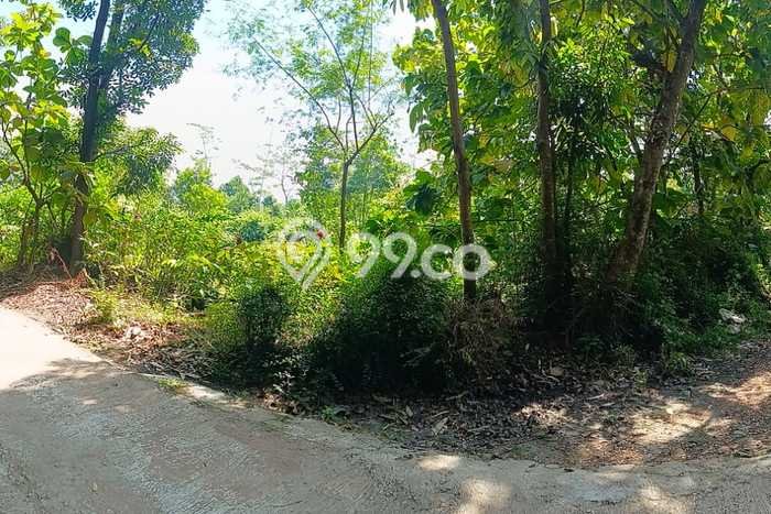 Lahan Kosong Dijual di Karangnongko, Klaten, Luas 8000m2 Area Strategis Lahan Kosong Dijual di Karangnongko, Klaten, Luas 8000m2 Area Strategis