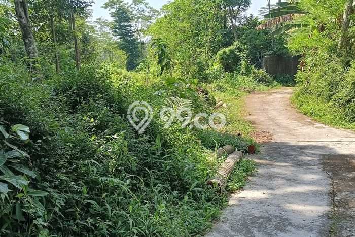 Lahan Kosong Dijual di Karangnongko, Klaten, Luas 8000m2 Area Strategis Lahan Kosong Dijual di Karangnongko, Klaten, Luas 8000m2 Area Strategis