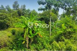 Kavling Tanah di Kebakkramat Dijual Luas 1838m2 Legalitas SHM Kavling Tanah di Kebakkramat Dijual Luas 1838m2 Legalitas SHM