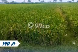 Tanah Kosong Dijual di Karanganyar dengan Area 908m2 Tanah Kosong Dijual di Karanganyar dengan Area 908m2