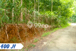 Tanah Kavling untuk Dijual di Karangpandan Karanganyar 2900m2 Tanah Kavling untuk Dijual di Karangpandan Karanganyar 2900m2