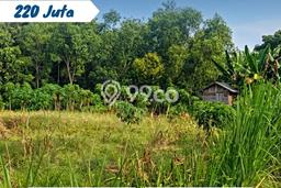Kavling Tanah Dijual di Kebakkramat, Karanganyar, Luas 3000m2 Area Strategis Kavling Tanah Dijual di Kebakkramat, Karanganyar, Luas 3000m2 Area Strategis