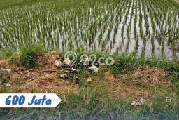 Lahan Strategis di Kebakkramat Dijual dengan Luas 1744m2 Lahan Strategis di Kebakkramat Dijual dengan Luas 1744m2