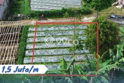 Tanah Kavling di Ngargoyoso Dijual dengan Luas 130m2 Tanah Kavling di Ngargoyoso Dijual dengan Luas 130m2