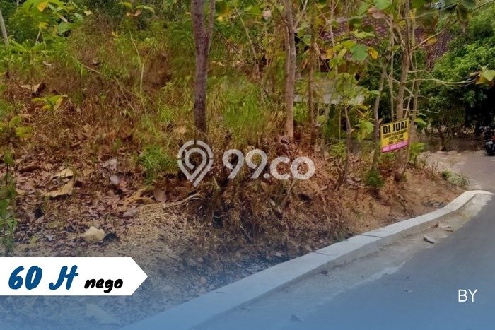 Lahan Investasi Lokasi Kedawung Sragen SHM Lahan Investasi Lokasi Kedawung Sragen SHM