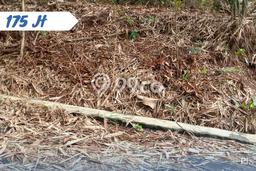 Kavling Tanah Dijual di Mojogedang Karanganyar Spesifikasi 675m2 Kavling Tanah Dijual di Mojogedang Karanganyar Spesifikasi 675m2