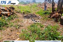 Tanah Kavling untuk Dijual di Kebakkramat Karanganyar 617m2 Tanah Kavling untuk Dijual di Kebakkramat Karanganyar 617m2