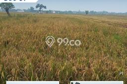 Lahan Investasi Lokasi Kebakkramat Karanganyar SHM Lahan Investasi Lokasi Kebakkramat Karanganyar SHM