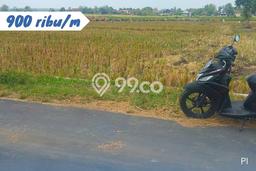 Tanah Kosong Dijual di Karanganyar dengan Area 1235m2 Tanah Kosong Dijual di Karanganyar dengan Area 1235m2