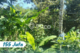 Tanah Strategis Dijual di Karangpandan Karanganyar 540m2 Tanah Strategis Dijual di Karangpandan Karanganyar 540m2