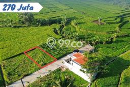 Tanah untuk Dijual di Karangpandan Karanganyar Luas 147m2 Tanah untuk Dijual di Karangpandan Karanganyar Luas 147m2