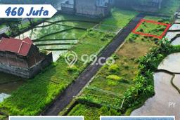 Tanah Komersial Dijual di Karanganyar Karanganyar 196m2 Tanah Komersial Dijual di Karanganyar Karanganyar 196m2
