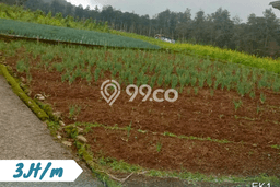 Kavling Tanah Dijual di Tawangmangu, Karanganyar, Luas 188m2 Area Strategis Kavling Tanah Dijual di Tawangmangu, Karanganyar, Luas 188m2 Area Strategis