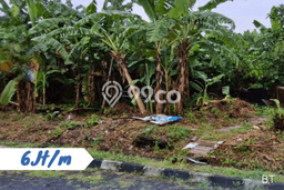 Lahan Investasi Lokasi Grogol Sukoharjo SHM Lahan Investasi Lokasi Grogol Sukoharjo SHM