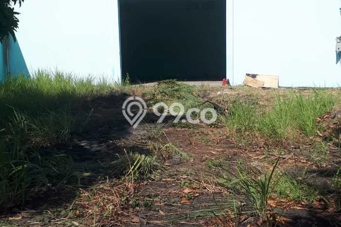 Gudang Dijual di Kawasan Masaran, Sragen Harga Kompetitif Gudang Dijual di Kawasan Masaran, Sragen Harga Kompetitif