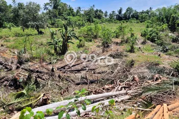 Tanah Kavling di Bunaken Dijual dengan Luas 46000m2 Tanah Kavling di Bunaken Dijual dengan Luas 46000m2