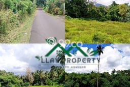 Tanah untuk Dijual di Pineleng Minahasa Luas 105m2 Tanah untuk Dijual di Pineleng Minahasa Luas 105m2