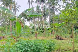 Tanah Komersial Dijual di Mapanget Manado 5600m2 Tanah Komersial Dijual di Mapanget Manado 5600m2