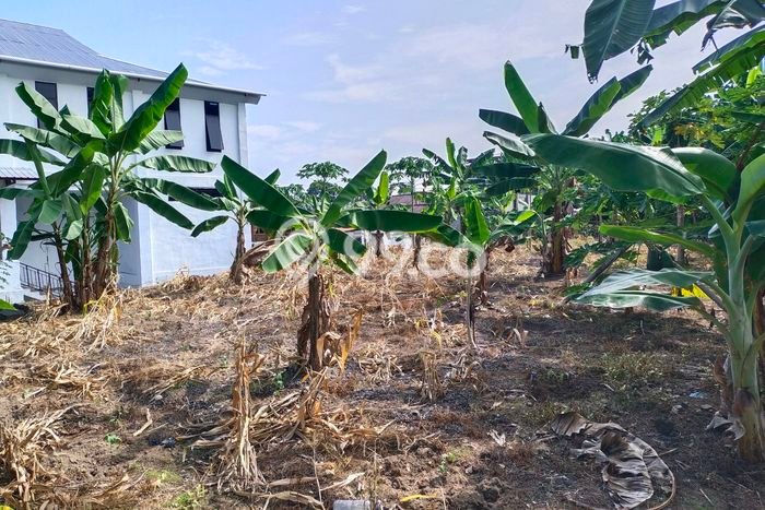 Tanah di Malalayang, Manado Luas 900m2 Dijual Segera Tanah di Malalayang, Manado Luas 900m2 Dijual Segera