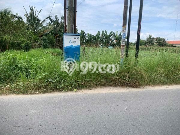 Tanah Dijual Lokasi Percut Sei Tuan Deli Serdang Hak Pakai Tanah Dijual Lokasi Percut Sei Tuan Deli Serdang Hak Pakai