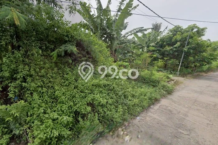 Lahan Strategis di Pringgarata Dijual dengan Luas 320m2 Lahan Strategis di Pringgarata Dijual dengan Luas 320m2