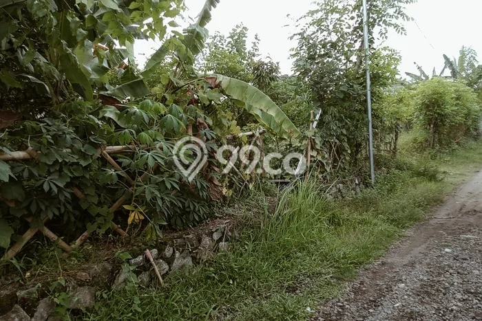 Lahan untuk Dijual di Narmada Lombok Barat Luas 7439m2 Lahan untuk Dijual di Narmada Lombok Barat Luas 7439m2