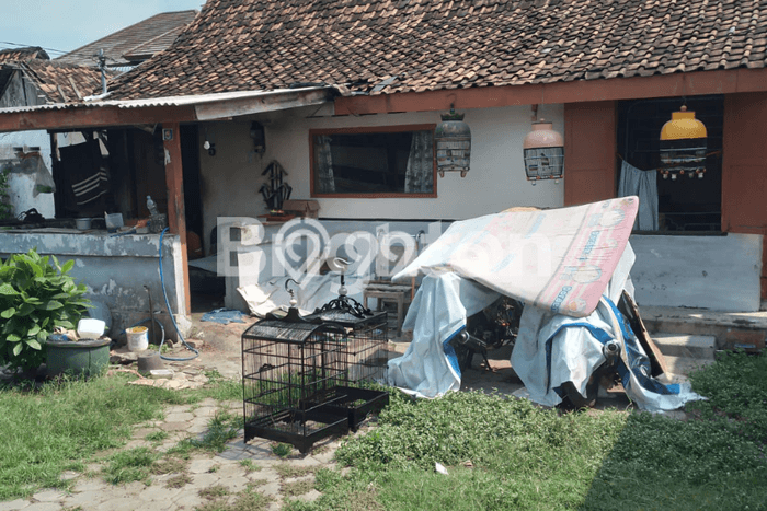 Rumah Luas Asri 5 KT Siap Pakai di Manguharjo Madiun Rumah Luas Asri 5 KT Siap Pakai di Manguharjo Madiun