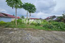 Tanah Dijual Lokasi Tampan Pekanbaru SHM Tanah Dijual Lokasi Tampan Pekanbaru SHM