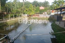Untuk Dijual Tanah di Rumbai Pekanbaru Luas 2096m2 - Untuk Dijual Tanah di Rumbai Pekanbaru Luas 2096m2 -
