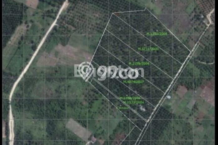 Lahan Investasi Lokasi Tapung Kampar SHM Lahan Investasi Lokasi Tapung Kampar SHM