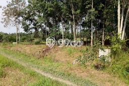 Untuk Dijual Tanah di Tenayan Raya Pekanbaru Luas 3000m2 SHM Untuk Dijual Tanah di Tenayan Raya Pekanbaru Luas 3000m2 SHM