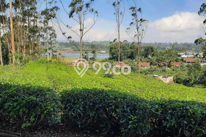 Kavling Tanah Dijual di Pangalengan, Bandung, Luas 13600m2 Area Strategis Kavling Tanah Dijual di Pangalengan, Bandung, Luas 13600m2 Area Strategis