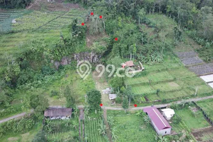 Lahan Dijual Lokasi Baturiti, Tabanan dengan Luas Tanah 1560m2 dan Status SHM Lahan Dijual Lokasi Baturiti, Tabanan dengan Luas Tanah 1560m2 dan Status SHM