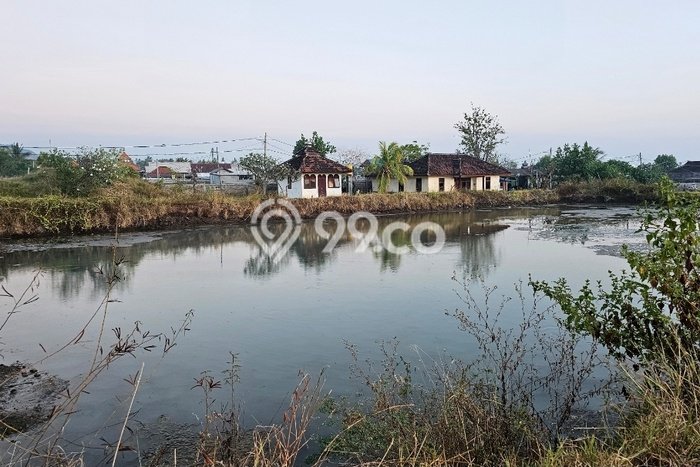 Komersial Dijual di Buleleng LT 21000m2 & LB 13000m2 Lokasi Terbaik! Komersial Dijual di Buleleng LT 21000m2 & LB 13000m2 Lokasi Terbaik!