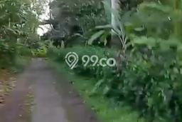 Tanah Dijual di Tabanan Seluas 5400m2 Strategis Tanah Dijual di Tabanan Seluas 5400m2 Strategis