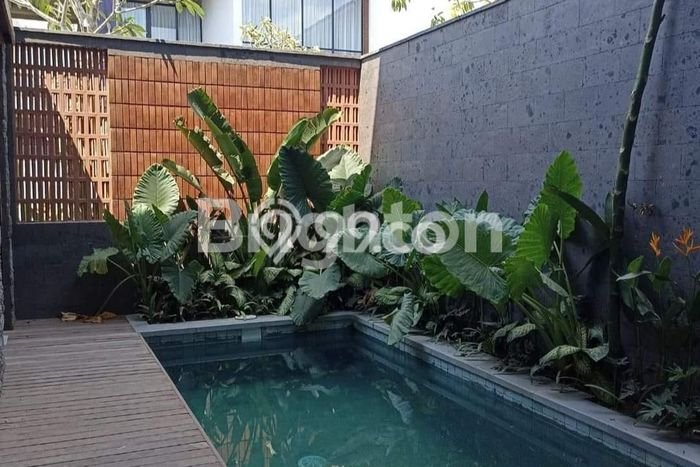Jarang Ada! Rumah Sewa 3 Kamar Nyaman Siap Huni canggu Jarang Ada! Rumah Sewa 3 Kamar Nyaman Siap Huni canggu